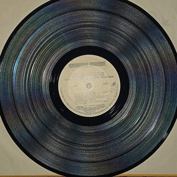 Allman Brothers Band , The Road Goes On/Collection of Greatest Recordings 1975 - Picture 9 of 16